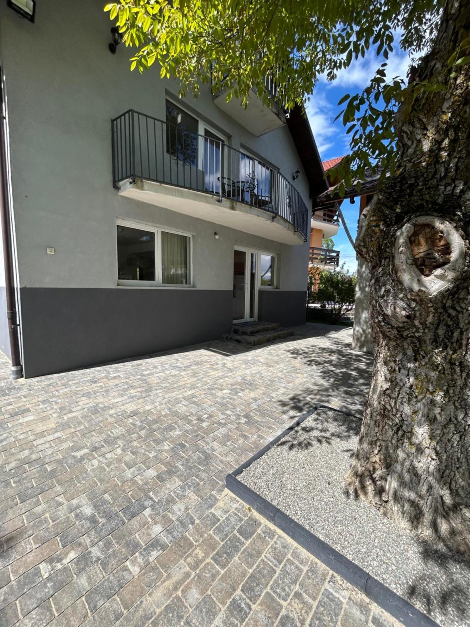 Casa Luca Ama Bran Βίλα Μπραν Εξωτερικό φωτογραφία
