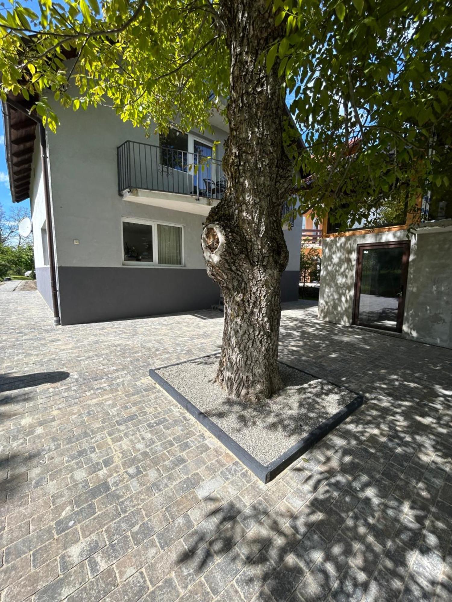 Casa Luca Ama Bran Βίλα Μπραν Εξωτερικό φωτογραφία