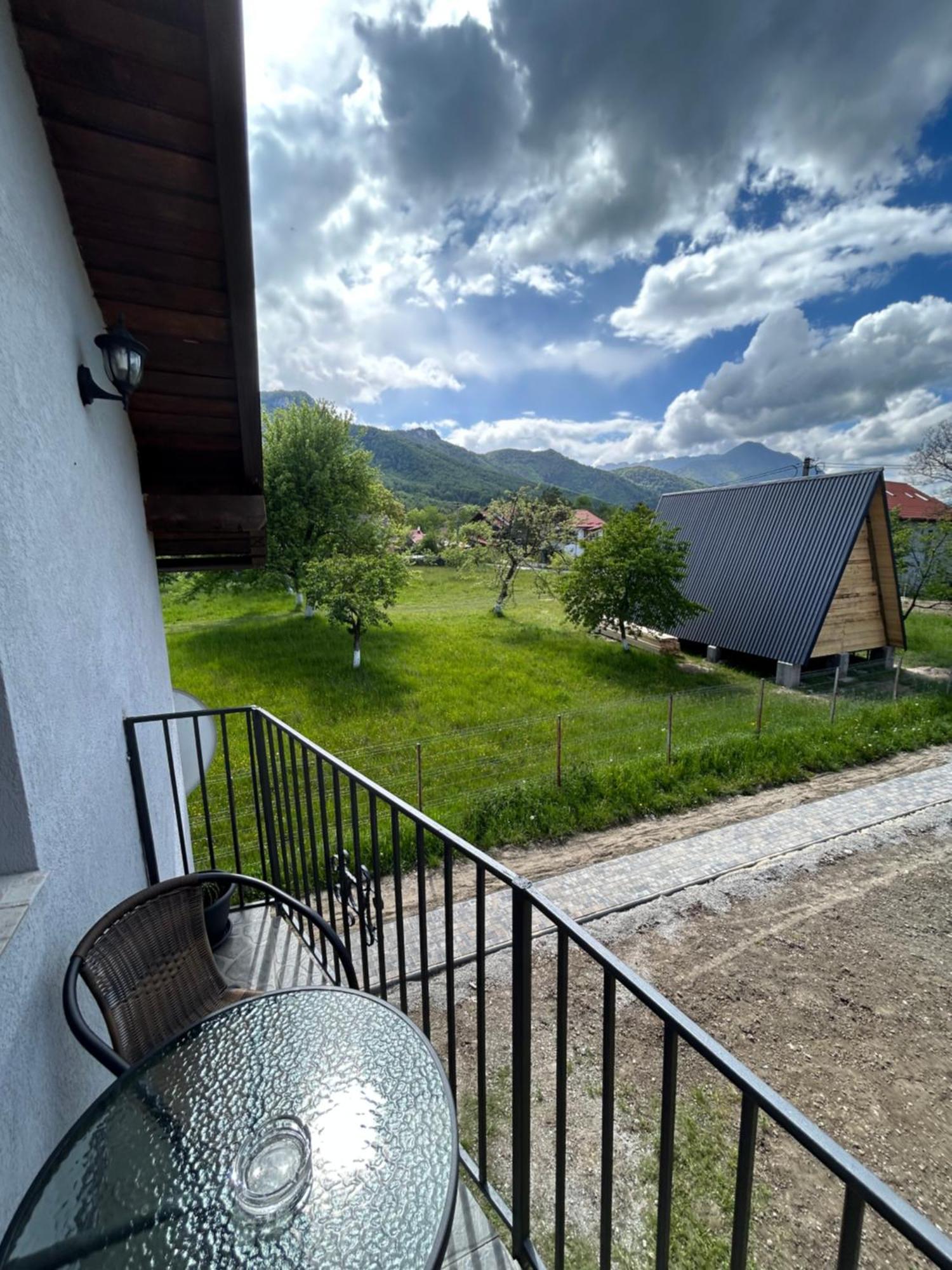 Casa Luca Ama Bran Βίλα Μπραν Εξωτερικό φωτογραφία